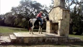 Tennessee WalkersSpotted Saddle Horses trail obstacle training [upl. by Yseulte]