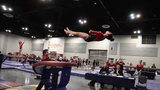 Arianna Espinoza 4th Place Vault Gliders Invitational 2023 Wildfire Gymnast Level 10 [upl. by Peppel]