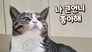 보름이가 큰언니를 좋아하게 됐어요 이런 적이 없었는데 [upl. by Puklich]