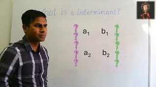 1 What Exactly is a Determinant Where does it come from SIMPLEST EXPLANATION [upl. by Jessen]