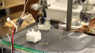 Magnetically Actuated MicroRobots for Advanced Manipulation Applications [upl. by Murdoch112]