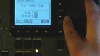 Pintech Alesis DM10 Settings Part II [upl. by Kunkle]