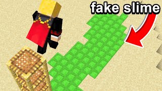 Fooling my Friend with FAKE SLIME in Minecraft [upl. by Aihtak]