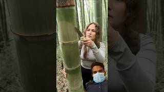 Survivors with green screen nature bamboo satisfying wood bushcraft lifehack survival [upl. by Tremann26]