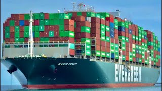 4K LARGE EVERGREEN CONTAINER SHIP TRAFFIC AT THE PORT OF LOS ANGELES  June 2024 [upl. by Nivk504]