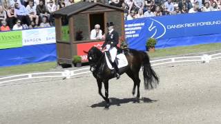 DM Dressur Grand Prix KÃ¼r  Nathalie Zu Sayn Wittgenstein og Digby [upl. by Tanberg]