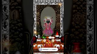 Aaj Ka Darshan Chaitra Shukla Chaturthi 12 April 2024  Shrinathji ke Darshan [upl. by Aitnauq]