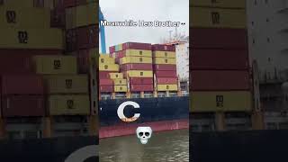 Mat pareshan kiya karo 😜 sailor mscindiansailor bigships msc container one ship [upl. by Chandless127]