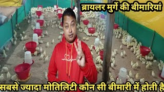 Shravasti Poultry is live [upl. by Aisauqal]