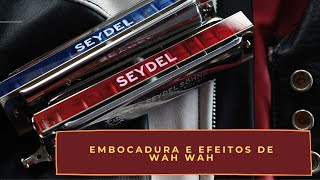 Dicas importantes para tocar gaita Embocadura e efeitos de Wah Wah [upl. by Hayotal]