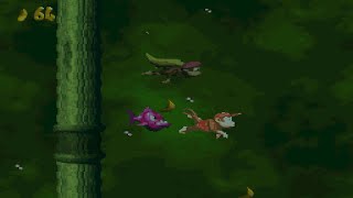 Donkey Kong Country 2 Level 17 Slime Climb [upl. by Sharron]