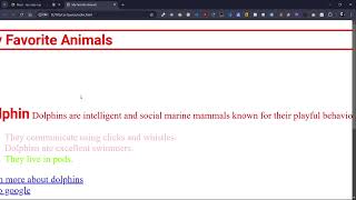 CSS Lecture 2  Cont amp layouting using flexbox [upl. by Novahs]