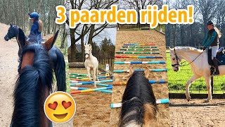 3 PAARDEN RIJDEN amp UNBOXING Covalliero  felinehoi VLOG 546 [upl. by Ttehc]