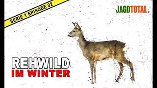 Jagd auf Rehwild  JAGD TOTAL  S1 Ep 02 [upl. by Nirrad]