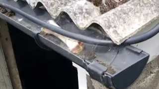 Dangers of an Asbestos corrugated roof [upl. by Flowers]