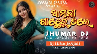 MOHANTA OFFICIAL  NEW JHUMAR DJ 2025  AAMLA GACHHER TALE  GOUTAM amp POMI  DJ LUNA JANJALI [upl. by Rramo]