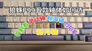 【狼蛛F99】五款轴体如何选横屏对比测试你更喜欢哪款收割者灵动新月鲸海烈焰紫 [upl. by Christin]