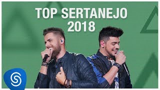 Top Lançamentos Sertanejo 2019  Os Melhores Clipes [upl. by Kiki]