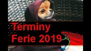 Ferie zimowe w 2019 terminy daty gdzie jechać ferie 2019 [upl. by Tennes]