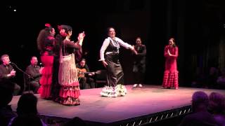 Flamenco Abierto  Bulerias [upl. by Idona]