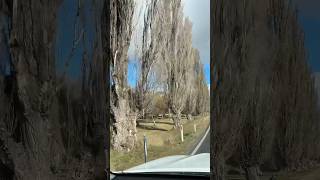 Off To Jindabyne NSW australia travel shorts youtubeshorts countrytown living inaustralia ng [upl. by Latihs]