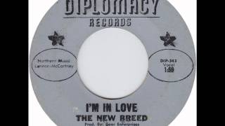 The New Breed  Im in love 1965 [upl. by Alia]