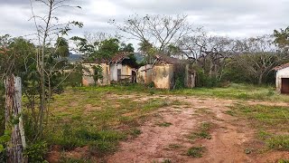 Casarão Misterioso na beira da estrada Sede dos Florêncio Paineira Velha Centenário em Ruínas [upl. by Orodisi]