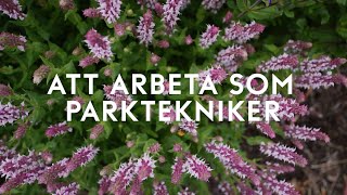 Att arbeta som parktekniker [upl. by Natika]