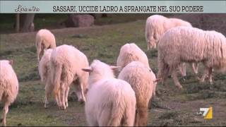 Sassari uccide ladro a sprangate nel suo podere [upl. by Pauletta]