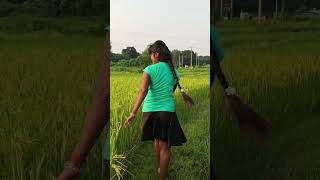 Kune khet janme Shaan sundhan chha song short video Doly baby girll [upl. by Oinotnaesoj479]