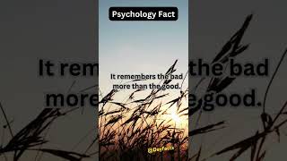 Your mind can play psychology facts psychologyfacts shorts dailyfacts [upl. by Belita]