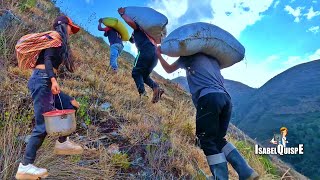 Lleve almuerzo a mi hermano  Miren como es el Trabajo en el Campo es muy Duro  Isabel Quispe [upl. by Cassy]