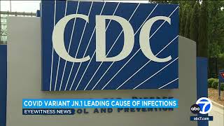 COVID JN1 variant now leading cause of infections in United States CDC says [upl. by Duahsar]