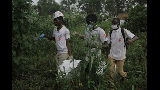 RDC  à Goma la CroixRouge alerte sur le sort des déplacés par le M23 [upl. by Siaht]