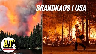 STORA SKOGSBRÄNDER RASAR Se bilderna från brandkaoset i Kalifornien [upl. by Lemhar]