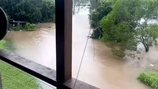 2022 flood update at Karalee Ipswich Bremer River [upl. by Yahsed]