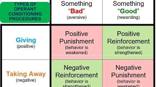 Operant Conditioning Procedures  Psychology of Learning [upl. by Hadnama312]