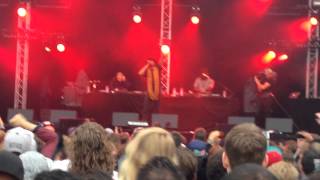 Mos Def  Mathematics live  Woo Hah Festival 2014 [upl. by Acinet745]