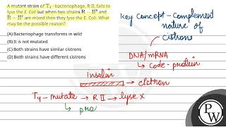 A mutant strain of T4  bacteriophage RII fails to lyse the E Coli but when two strains RII [upl. by Frankie]