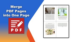 How to merge PDF pages into one page in PDFXChange Editor [upl. by Adnalra]