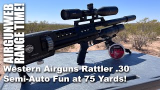 Western Airguns Rattler 30  SemiAuto big bore Airgun Fun at 75 Yards [upl. by Leizar]