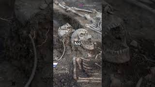 800YearOld Burial Pit Mystery Near Leicester Cathedral 🕵️‍♂️💀 shortsvideo shorts [upl. by Drofkcor]