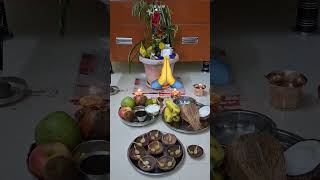 Tulasi Kalyanam  Ksheerabdi Dwadasi  Dwadasi Pooja  Chiluku Dwadasi 2024 LuckyLikhilsworld [upl. by Erasmo53]