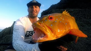 Catch n Cook Trout For Dinner and a Coconut Harvest for Lunch  Washed Up Day 4 [upl. by Pauly]