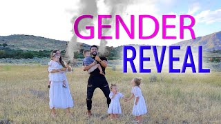 THE CHATWINS OFFICIAL GENDER REVEAL [upl. by Powe]