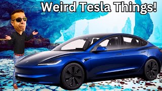 Weird Things The Tesla Does [upl. by Alehc345]