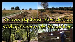 Veluwe Ugchelen Hoenderloo en het Wildkijkscherm de Ringakker [upl. by Sirronal]