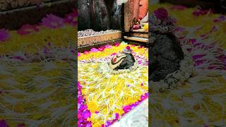 saurashtra somnath cha srisaila mallikarjuna status mahadev mahakal shorts ytshort viralvideo [upl. by Tatianna]