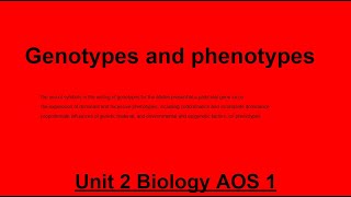 Unit 2 AOS 1 Biology Genotypes and Phenotypes [upl. by Okimuy]