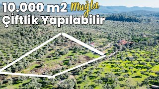 ‼️Satıldı‼️Harika Fırsat 10000 M2 Muğla Milasta Muhteşem Arazi E507 [upl. by Hutchins]